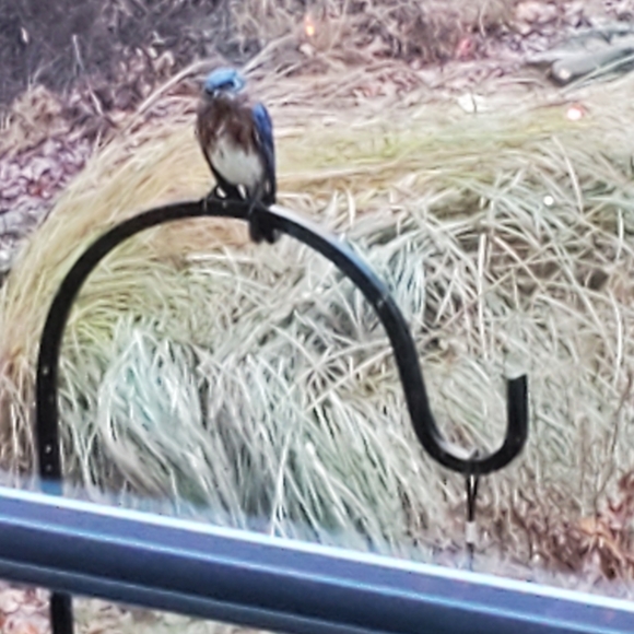 Meet your Posher, Teresa - Picture 8 of 16